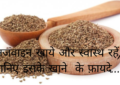 अजवाइन खाये और स्वास्थ रहें, जानिए इसके खाने के फ़ायदे